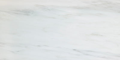 White / 12x24 / Polished