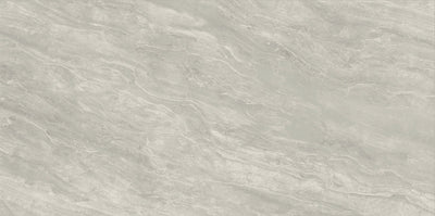 Vanta Gray / 12x24 / Matte