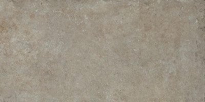 Taupe / 12x24 / Matte