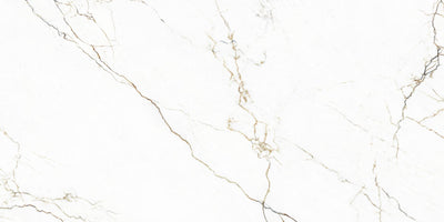 Caramel / 12x24 / Glossy
