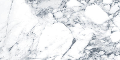 Arabescato / 12x24 / Glossy