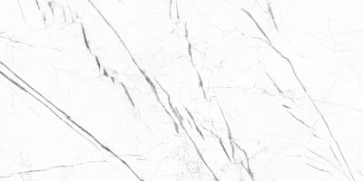 Marquina White / 24x48 / Glossy