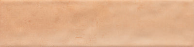 Cotto / 4x16 / Glossy