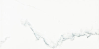 Calacatta Blanco / 12x24 / Matte