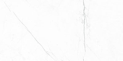 Marquina White / 12x24 / Glossy