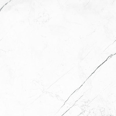 Marquina White / 24x24 / Matte