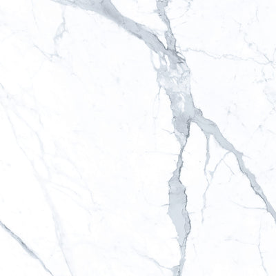 Statuario Superiore / 24x24 / Matte